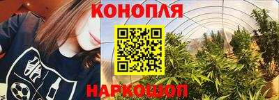 дмт Кингисепп