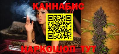 дмт Кингисепп