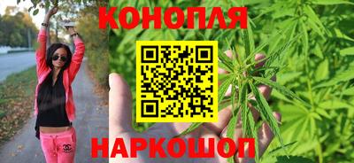 дмт Кинель