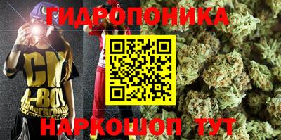 прущие крисы Кимры