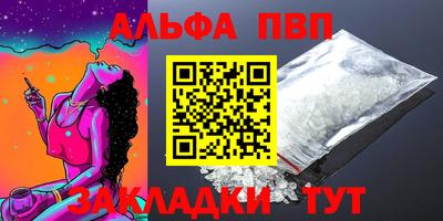 дмт Кингисепп