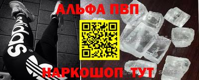 дмт Кингисепп