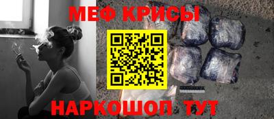 дмт Кингисепп
